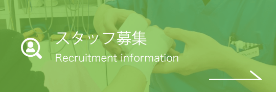 採用情報